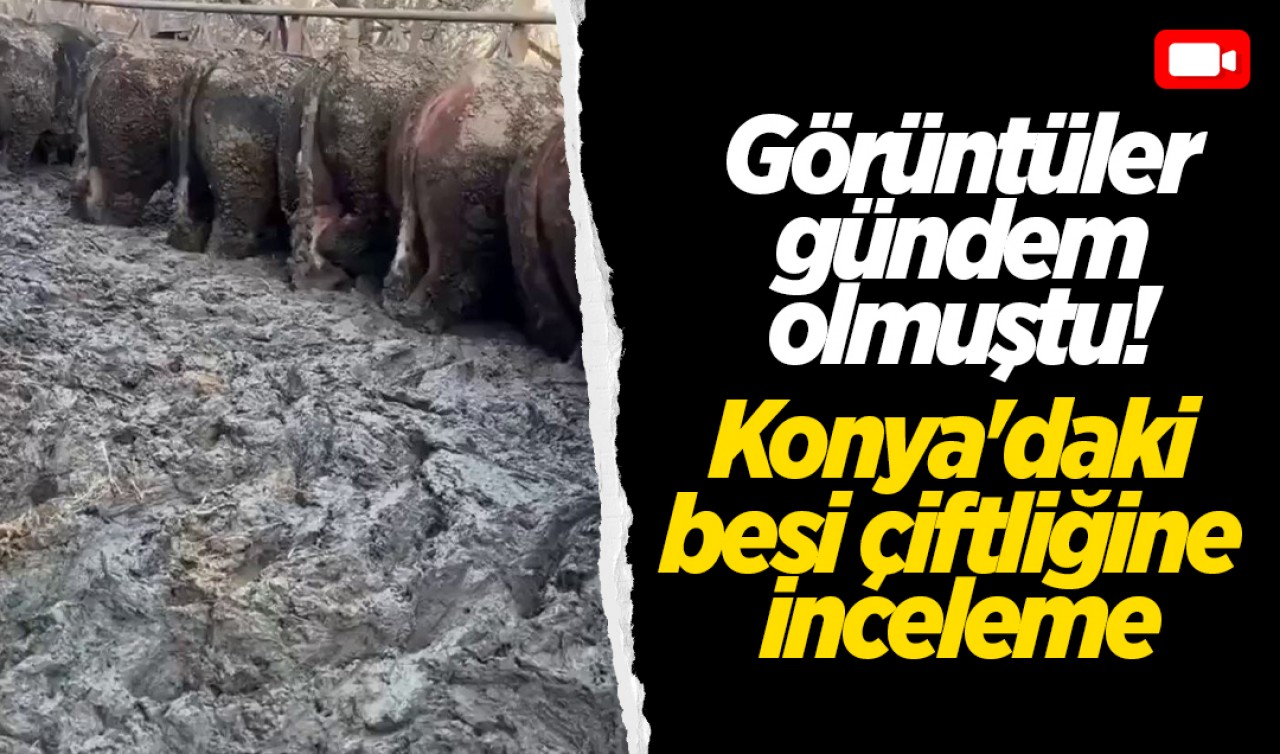 Görüntüler gündem olmuştu! Konya'daki besi çiftliğine inceleme