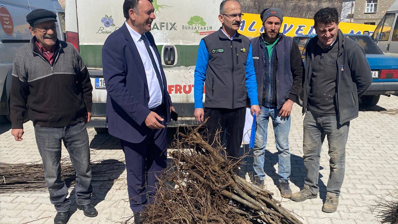 Hadim'de üreticilere destek