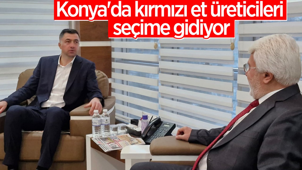 Konya'da kırmızı et üreticileri seçime gidiyor