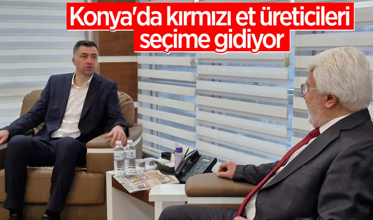 Konya'da kırmızı et üreticileri seçime gidiyor