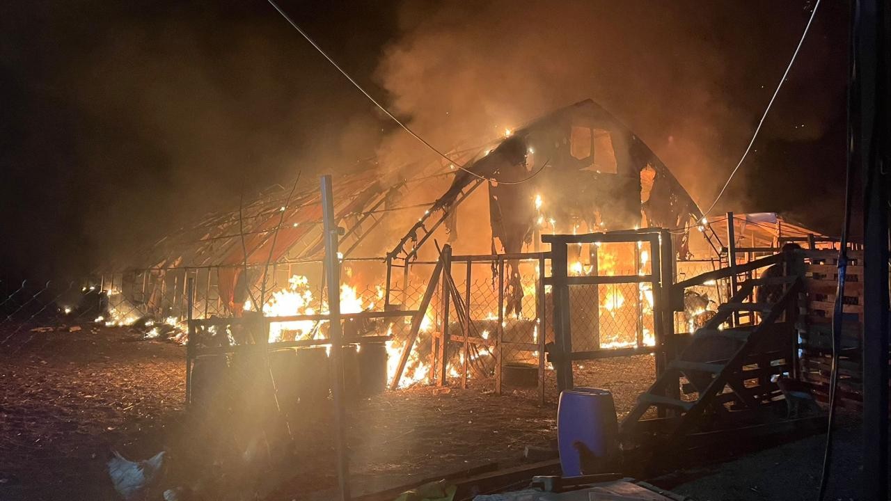 Çiftlikte çıkan yangında yüzlerce hayvan telef oldu