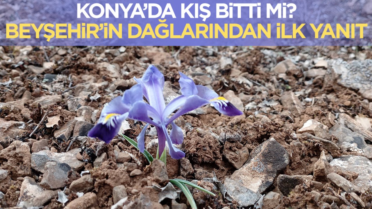 Konya'da kış bitti mi? Beyşehir’in dağlarından ilk yanıt geldi