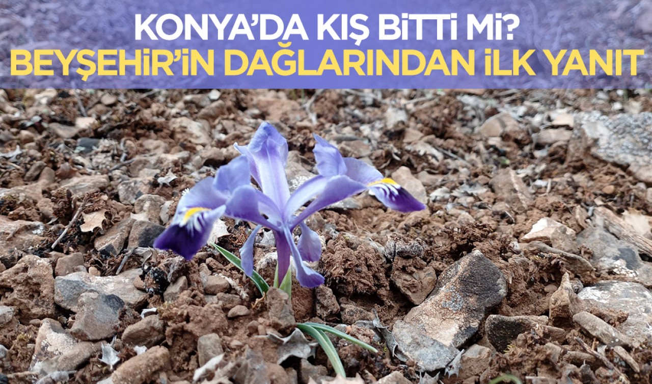 Konya'da kış bitti mi? Beyşehir’in dağlarından ilk yanıt geldi