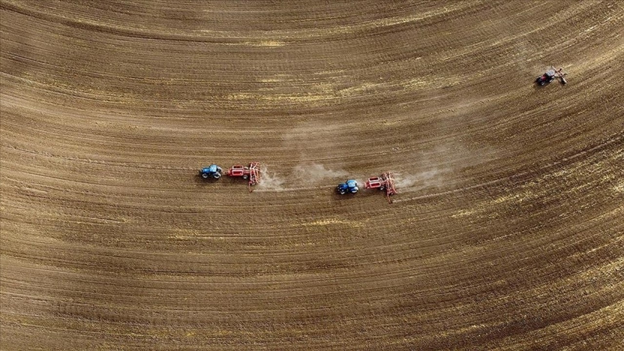 Türkiye genelindeki tarım sayımında sona yaklaşıldı