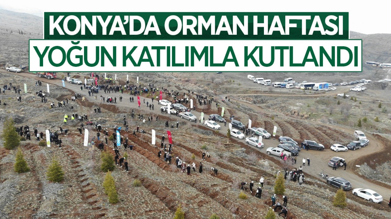 Konya’da Orman Haftası yoğun katılımla kutlandı