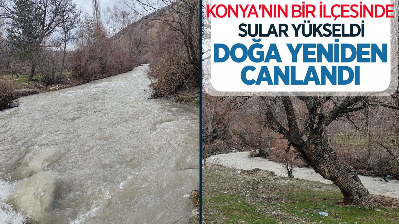 Konya'nın bir ilçesinde sular yükseldi: Doğa yeniden canlandı