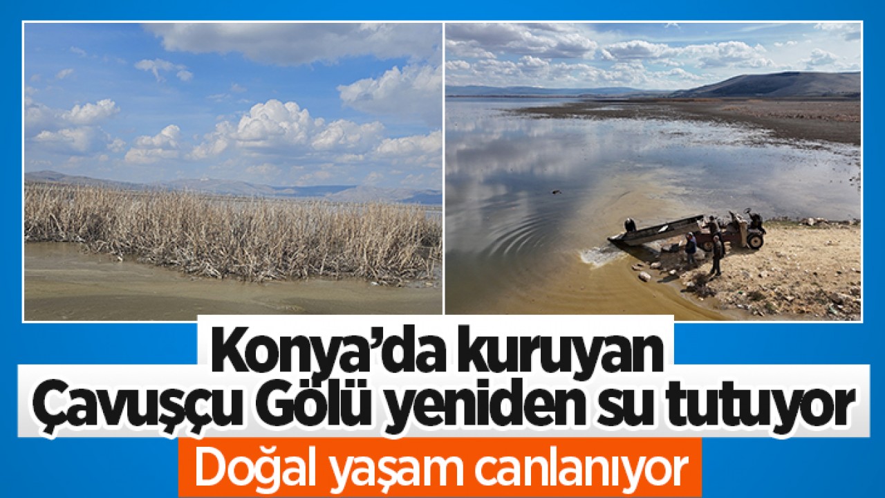 Konya’da kuruyan Çavuşçu Gölü yeniden su tutuyor: Doğal yaşam canlanıyor
