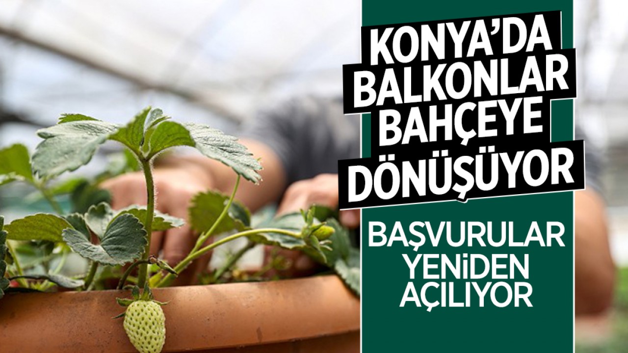Konya’da balkonlar bahçeye dönüşüyor: Başvurular yeniden açılıyor