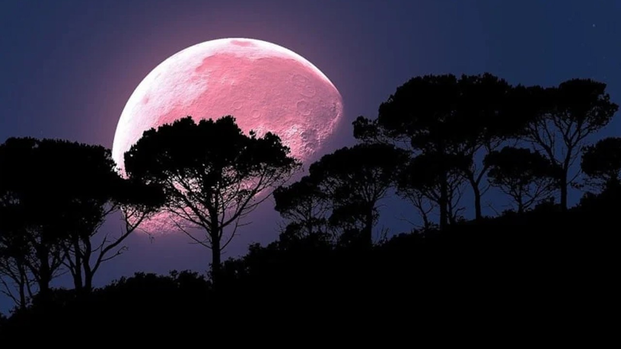 Pembe ay ne zaman, saat kaçta görünecek? 2026 Pembe Dolunay tarihi