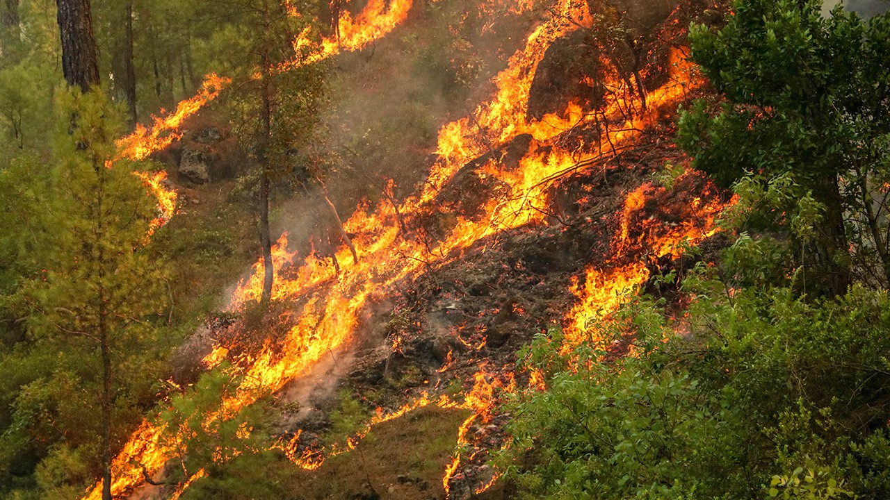 2025'te ihmal, dikkatsizlik, kasıt ve kazadan 1933 orman yangını çıktı