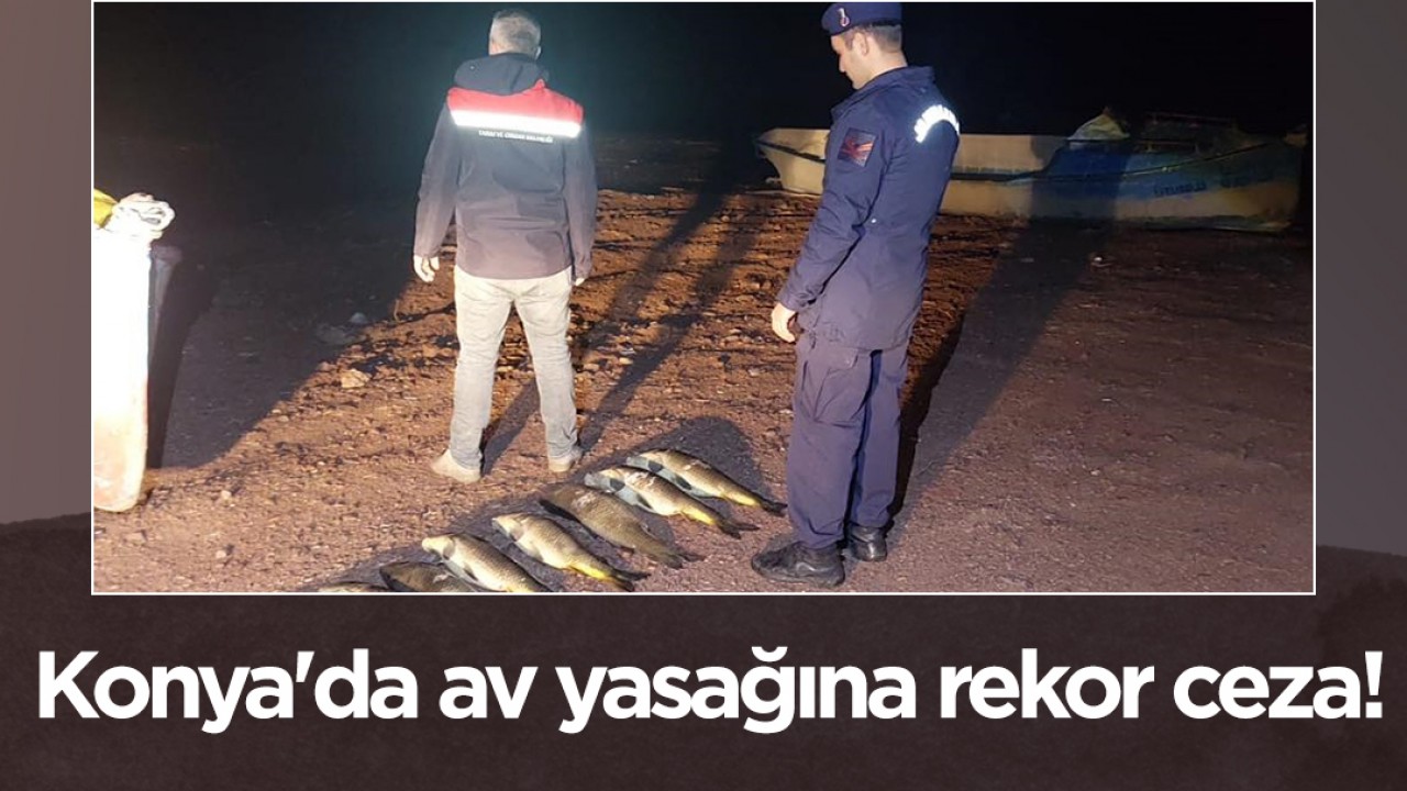 Konya'da av yasağına rekor ceza!