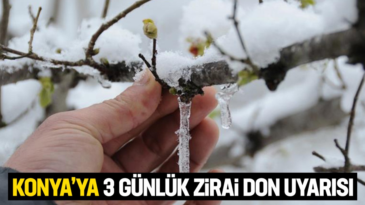 Konya'ya 3 günlük zirai don uyarısı