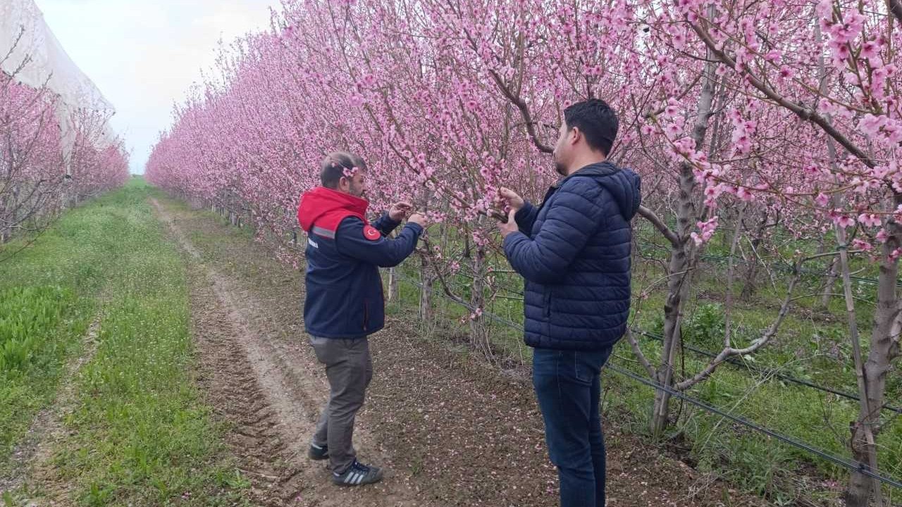 Akşehir'de zirai don riskine karşı ekipler sahada