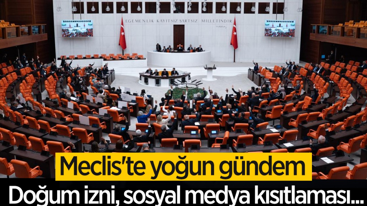 Meclis'te yoğun gündem: Doğum izni, sosyal medya kısıtlaması...