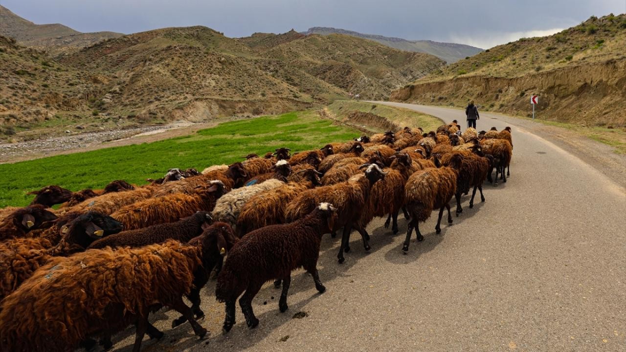 Hayvancılıkta yeni merkez: 784 milyonluk dev yatırım