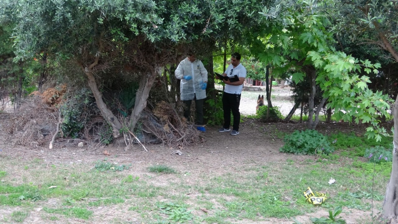 Bir kişi ağaçlık alanda ölü bulundu