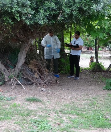 Bir kişi ağaçlık alanda ölü bulundu