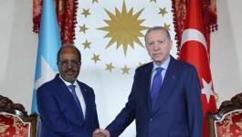 Cumhurbaşkanı Erdoğan, Somali Cumhurbaşkanı Mahmud ile görüştü