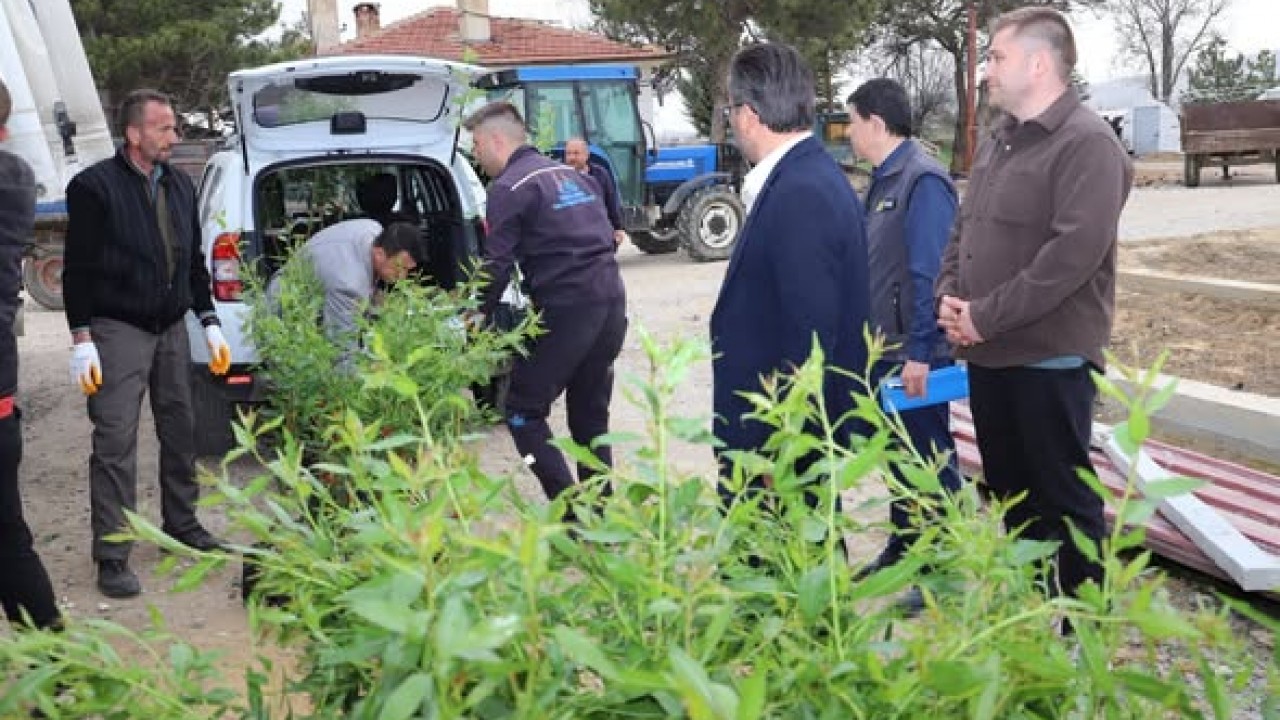 Ilgın'da fidanlar toprakla buluşuyor