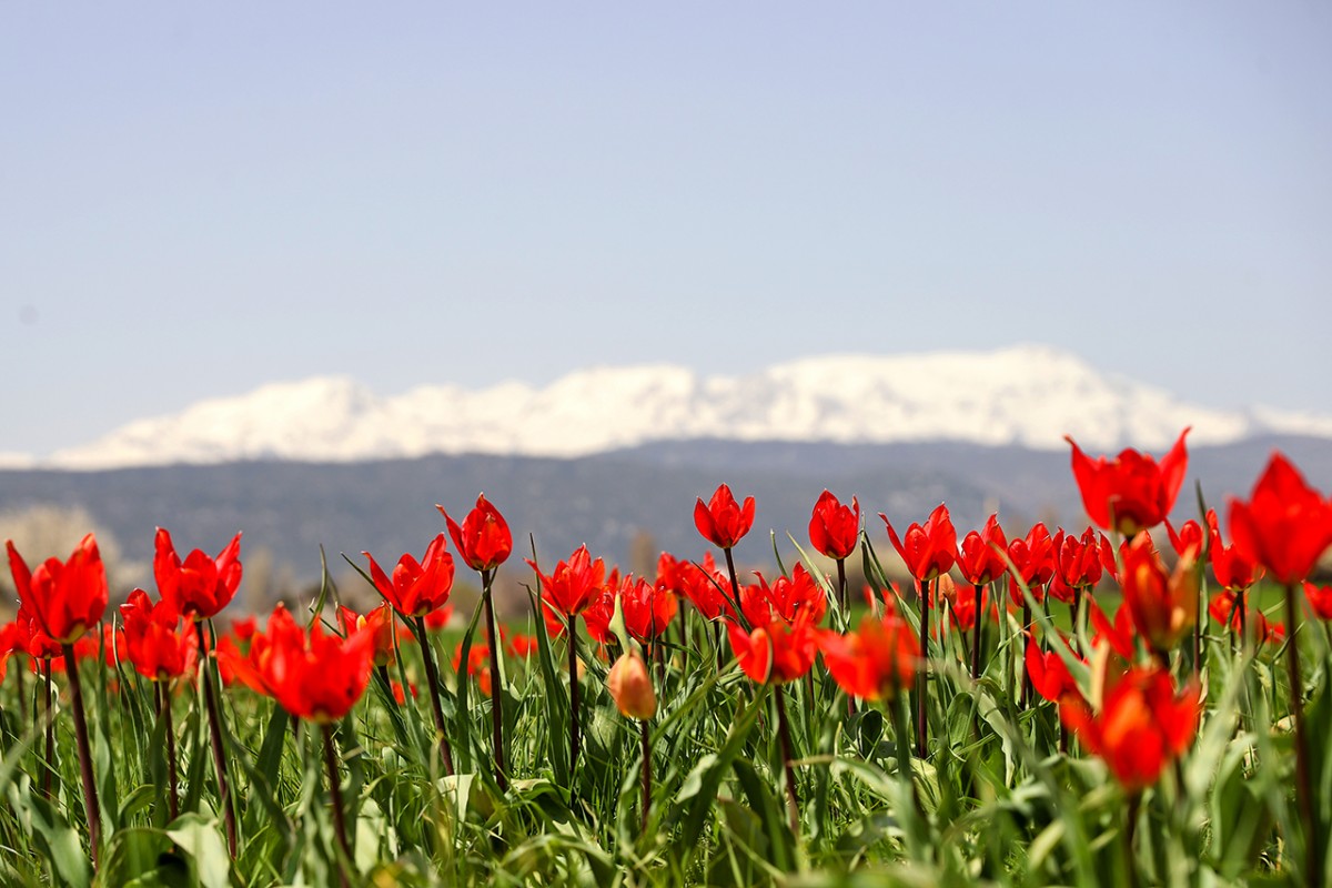 Beyşehir’de iki mevsimin güzelliği bir arada yaşanıyor