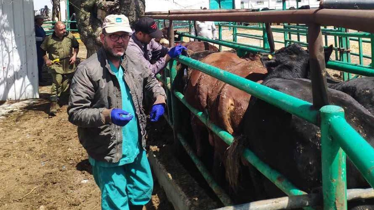 Sarayönü’nde hayvan sağlığı için ekipler sahada