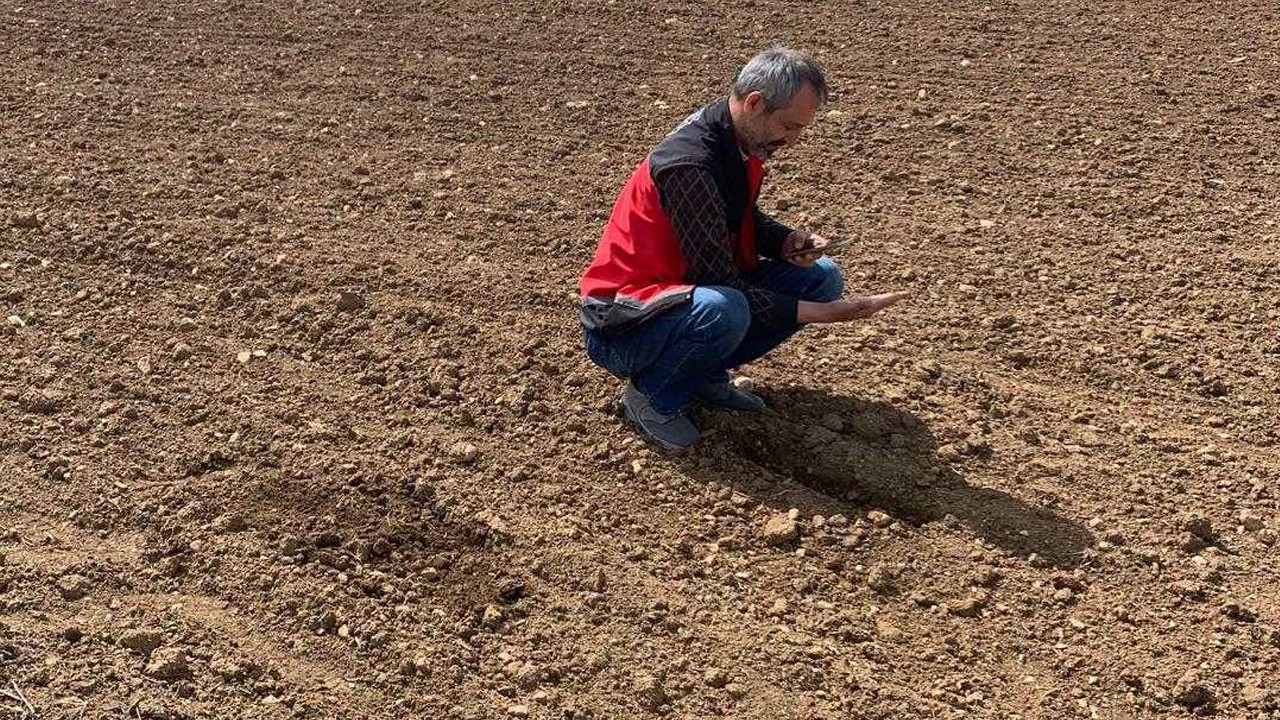 Selçuklu'da dağıtılan nohut tohumlarının ekimi başladı