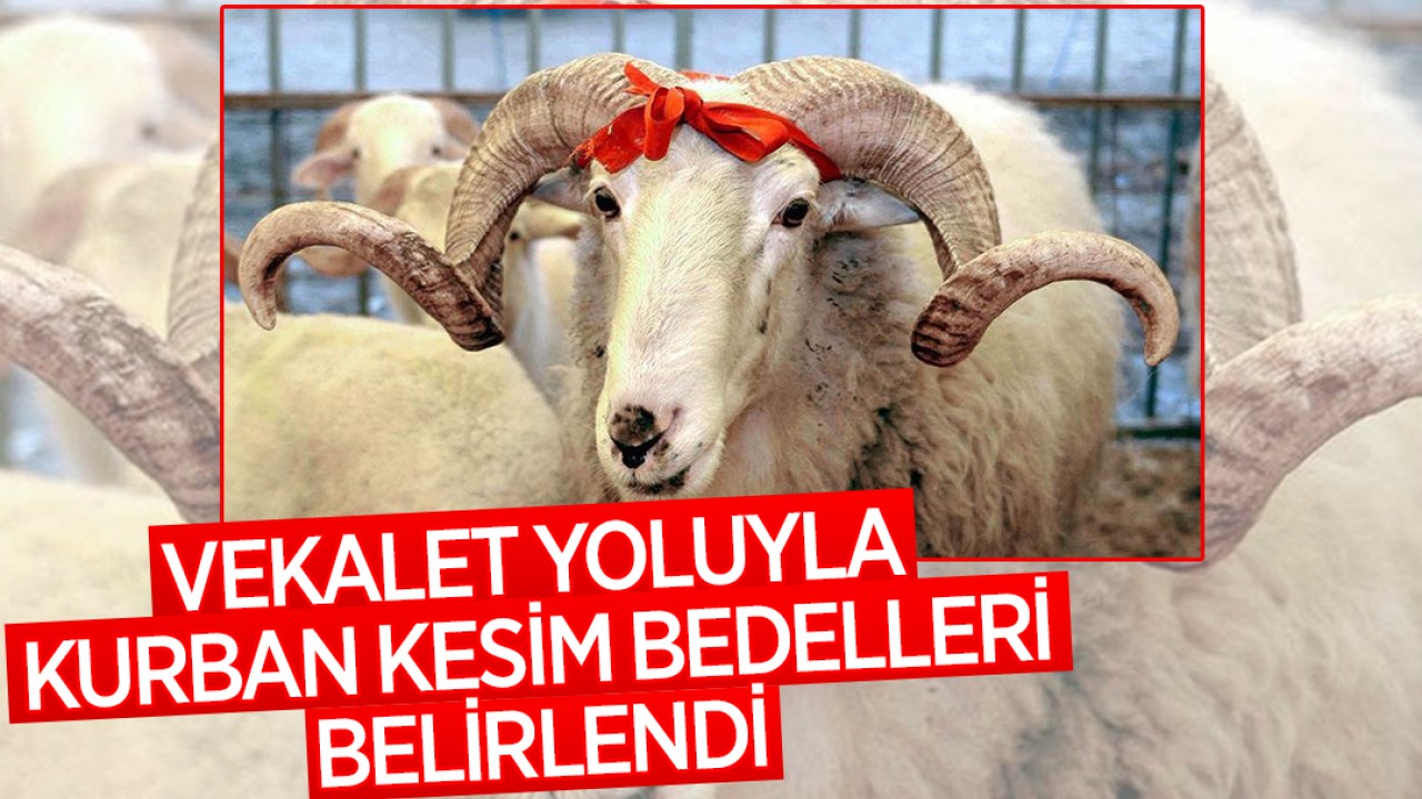 Vekalet yoluyla kurban kesim bedelleri belirlendi