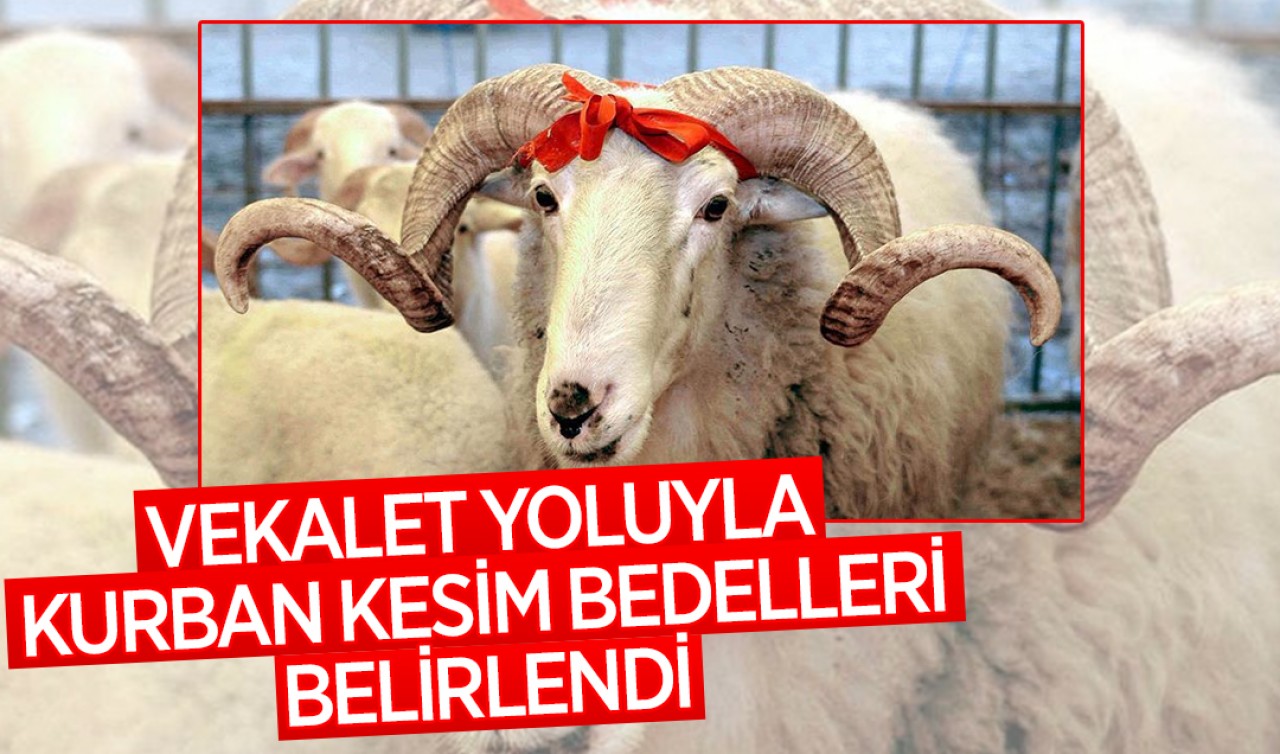 Vekalet yoluyla kurban kesim bedelleri belirlendi