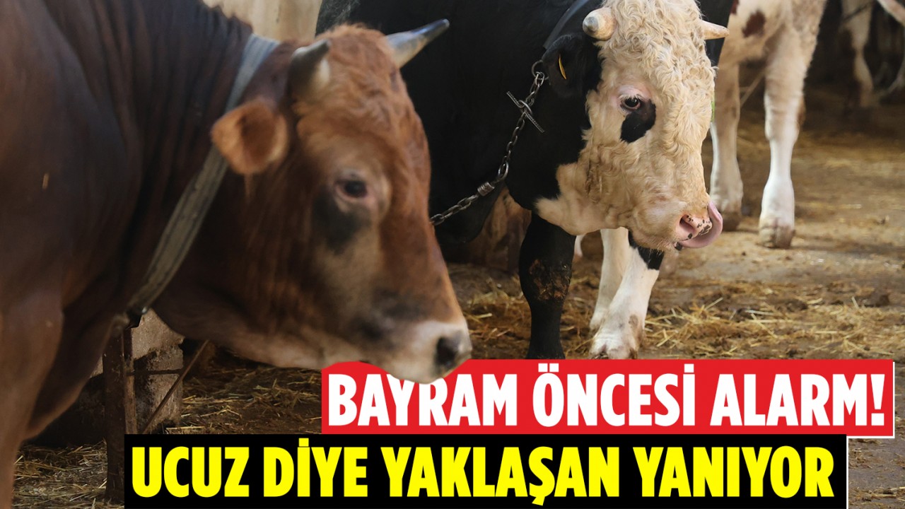 Bayram öncesi alarm! Ucuz diye yaklaşan yanıyor