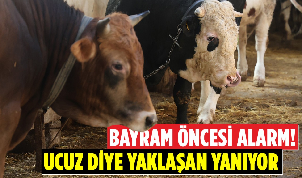 Bayram öncesi alarm! Ucuz diye yaklaşan yanıyor