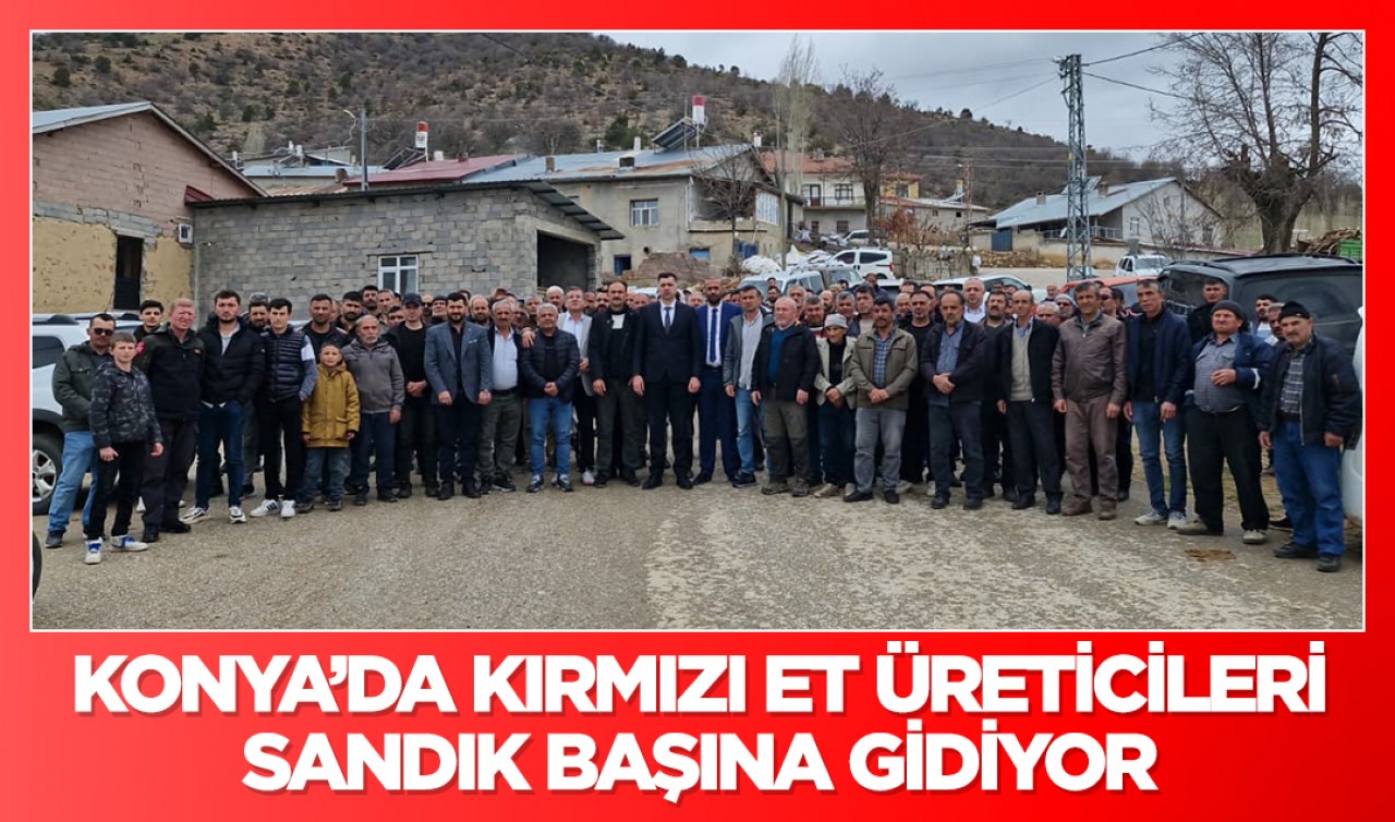 Konya’da Kırmızı Et Üreticileri sandık başına gidiyor