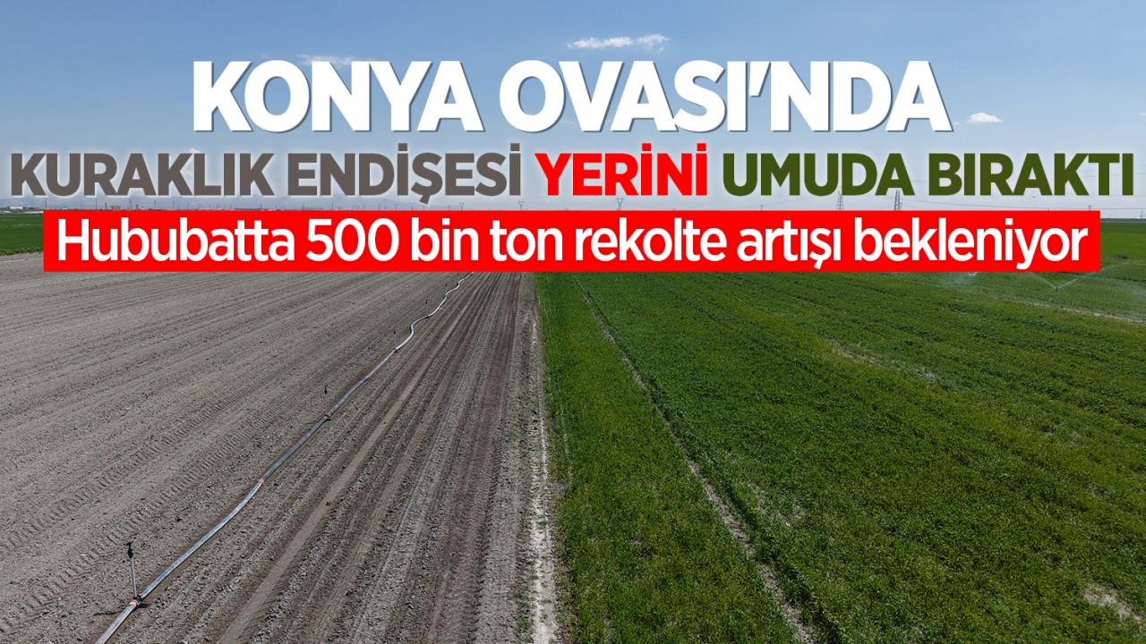 Konya Ovası'nda kuraklık endişesi yerini umuda bıraktı: Hububatta 500 bin ton rekolte artışı bekleniyor