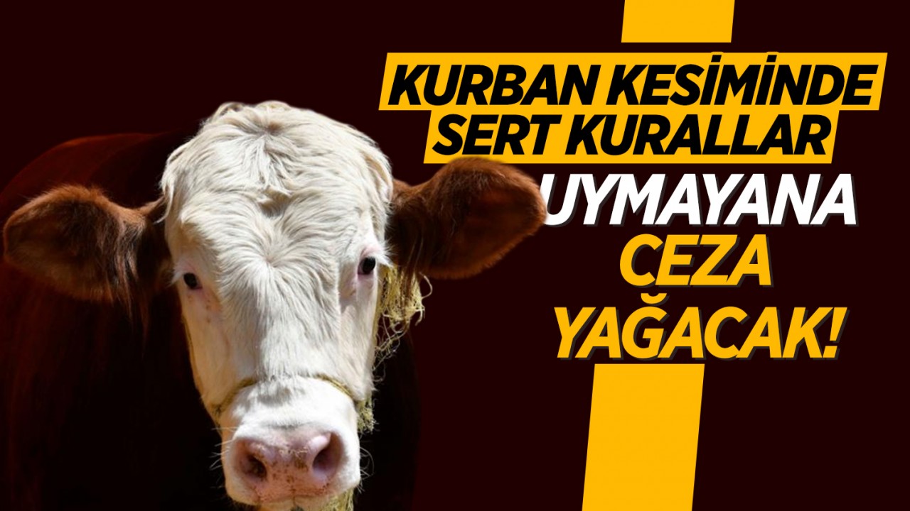 Kurban kesiminde sert kurallar: Uymayana ceza yağacak