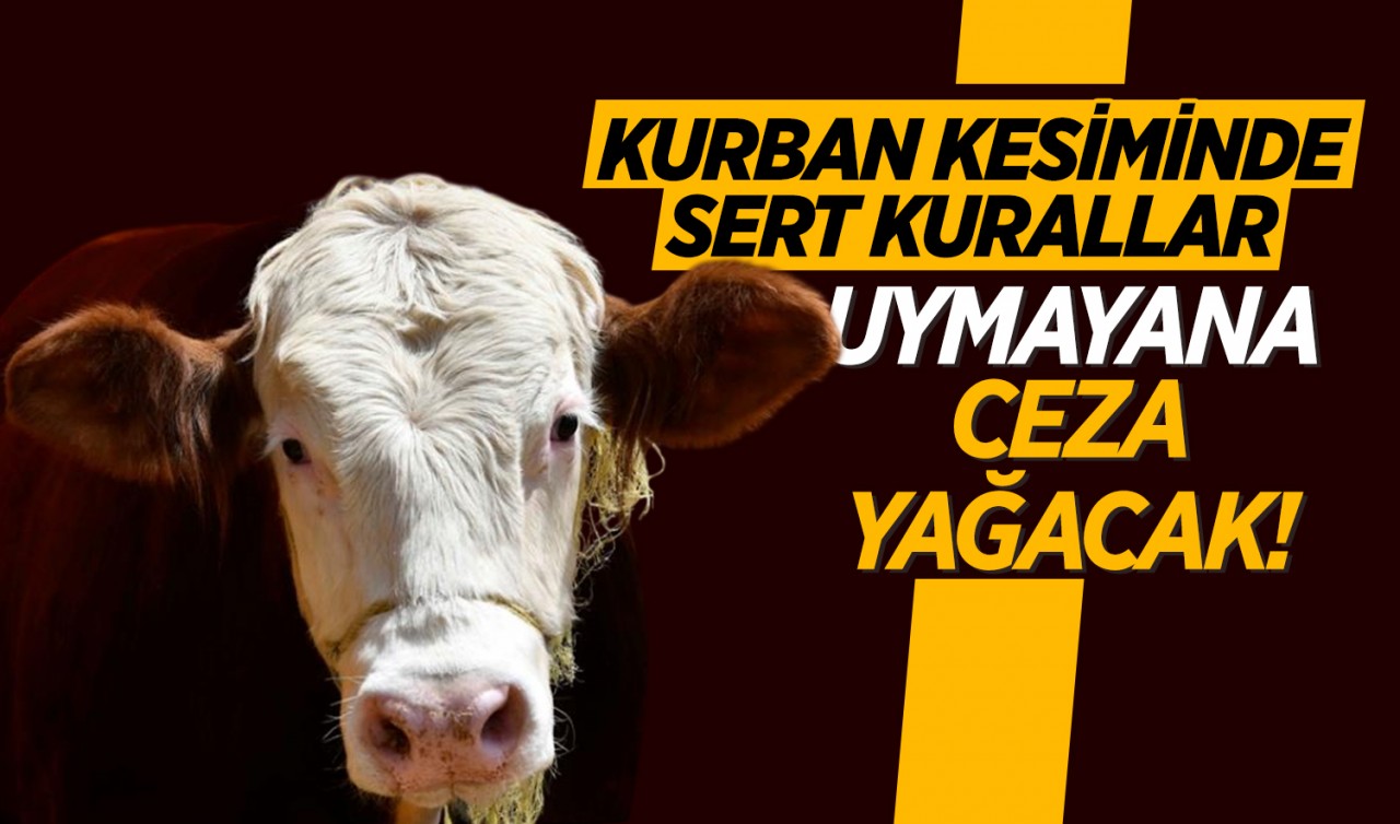 Kurban kesiminde sert kurallar: Uymayana ceza yağacak