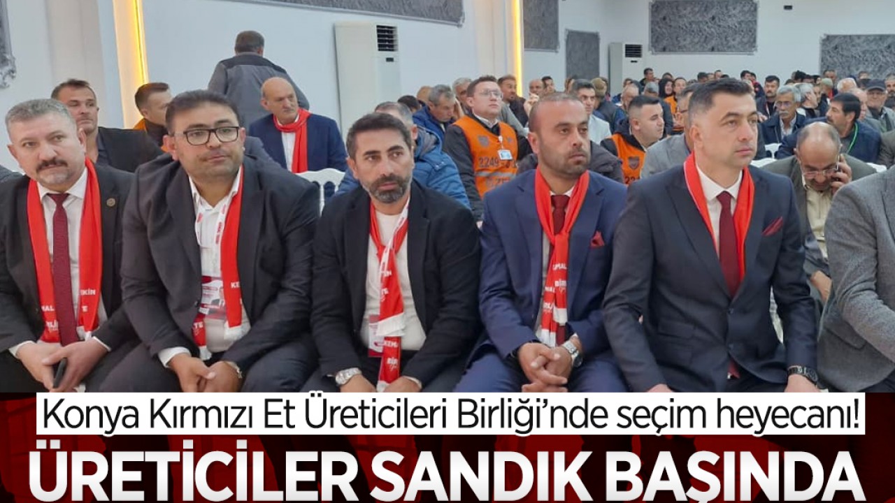Konya Kırmızı Et Üreticileri Birliği’nde seçim heyecanı! Üreticiler sandık başında