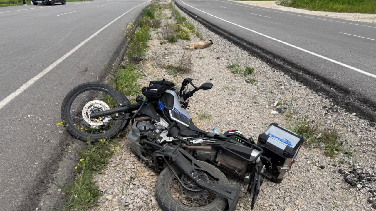 Köpeğe çarpan motosikletli ağır yaralandı