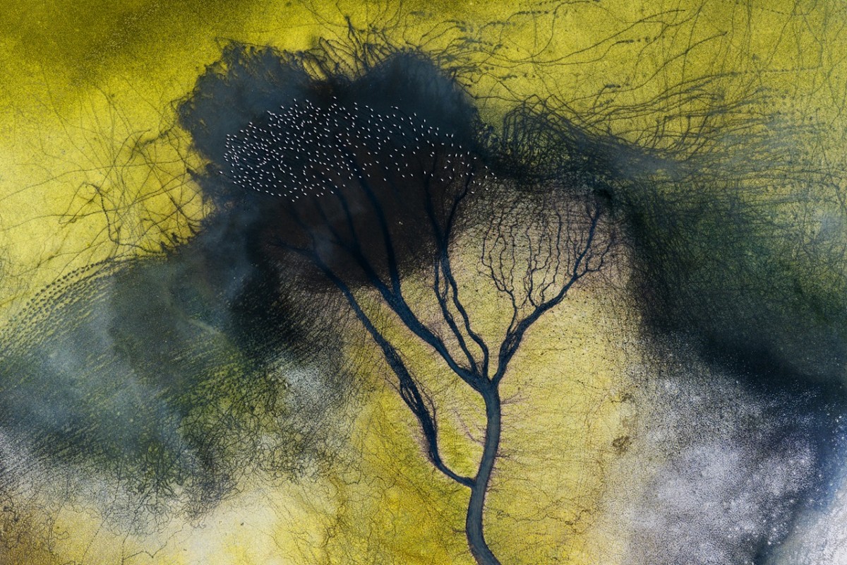 Düden Gölü’nde flamingoların görsel şöleni