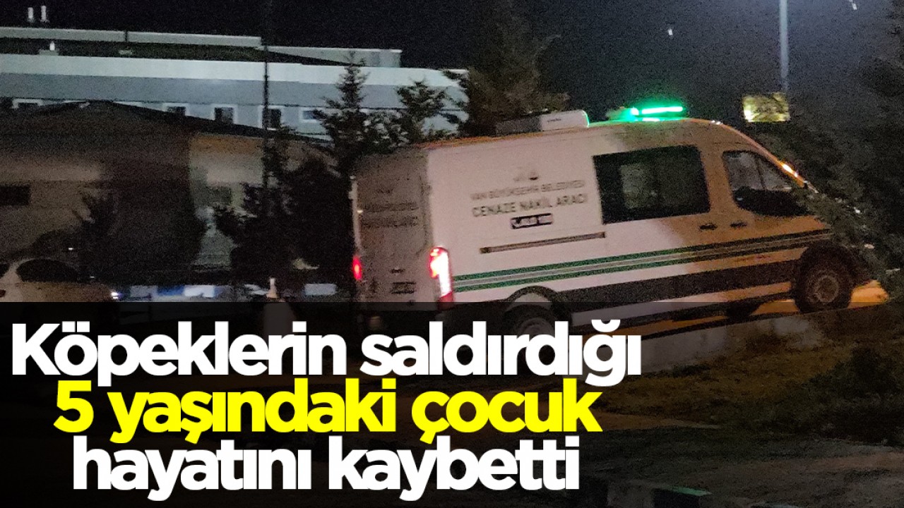 Köpeklerin saldırdığı 5 yaşındaki çocuk hayatını kaybetti