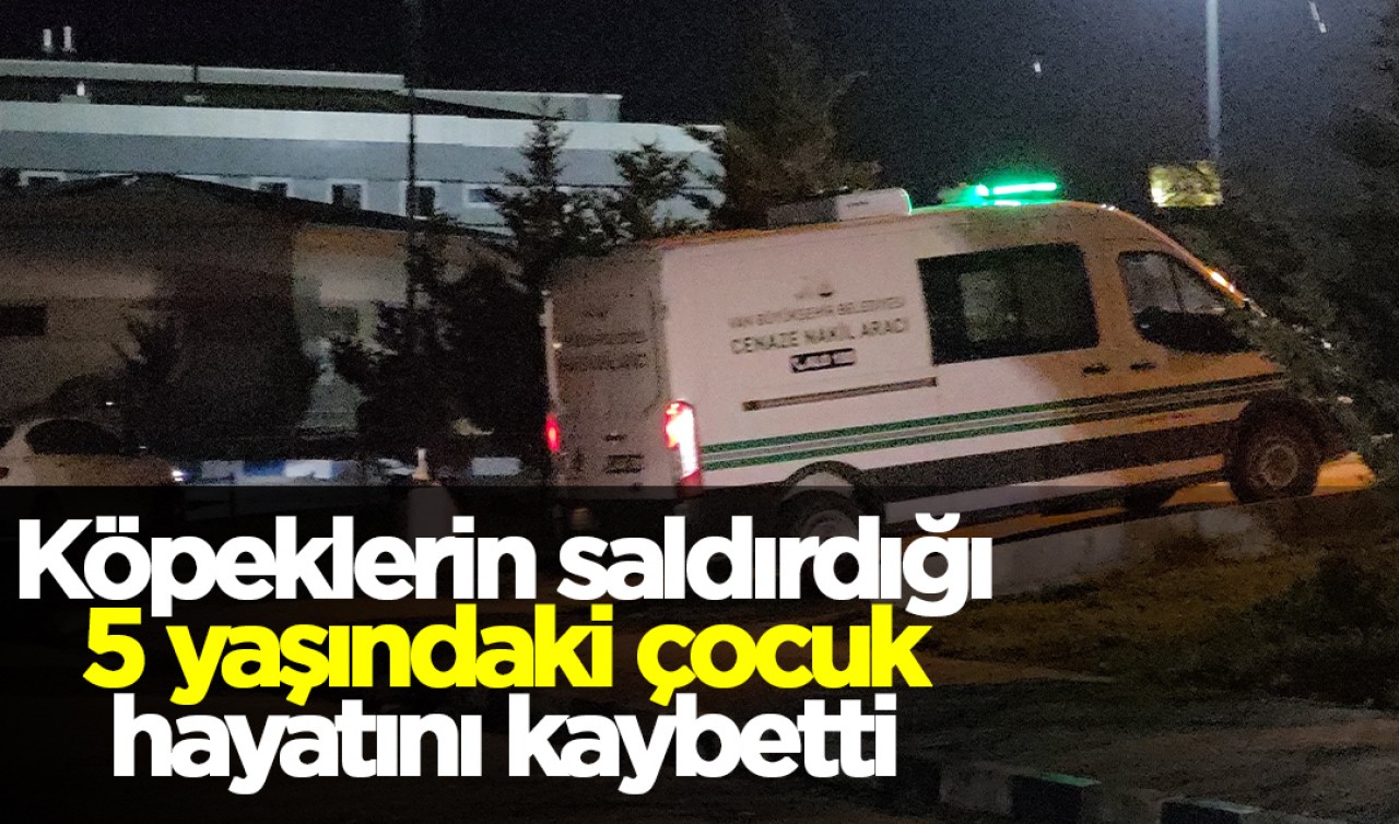 Köpeklerin saldırdığı 5 yaşındaki çocuk hayatını kaybetti