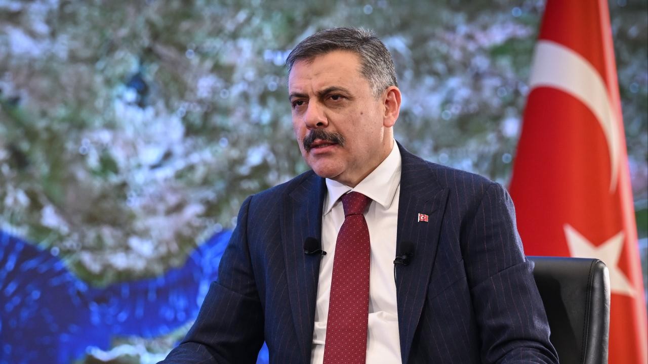 Bakan Çiftçi'den sahipsiz hayvanlara ilişkin açıklama: Tavizsiz ve zaruri