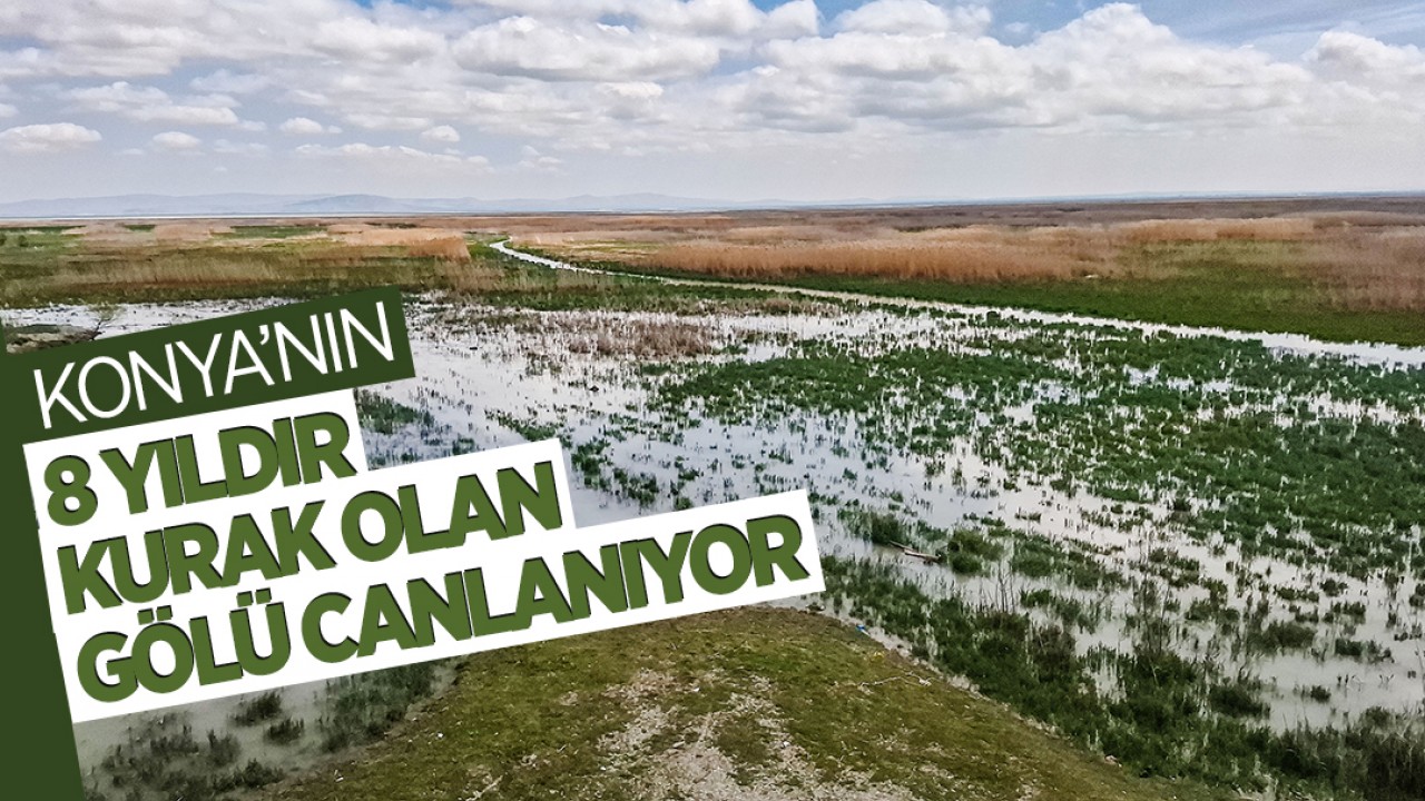 Konya'nın 8 yıldır kurak olan gölü canlanıyor