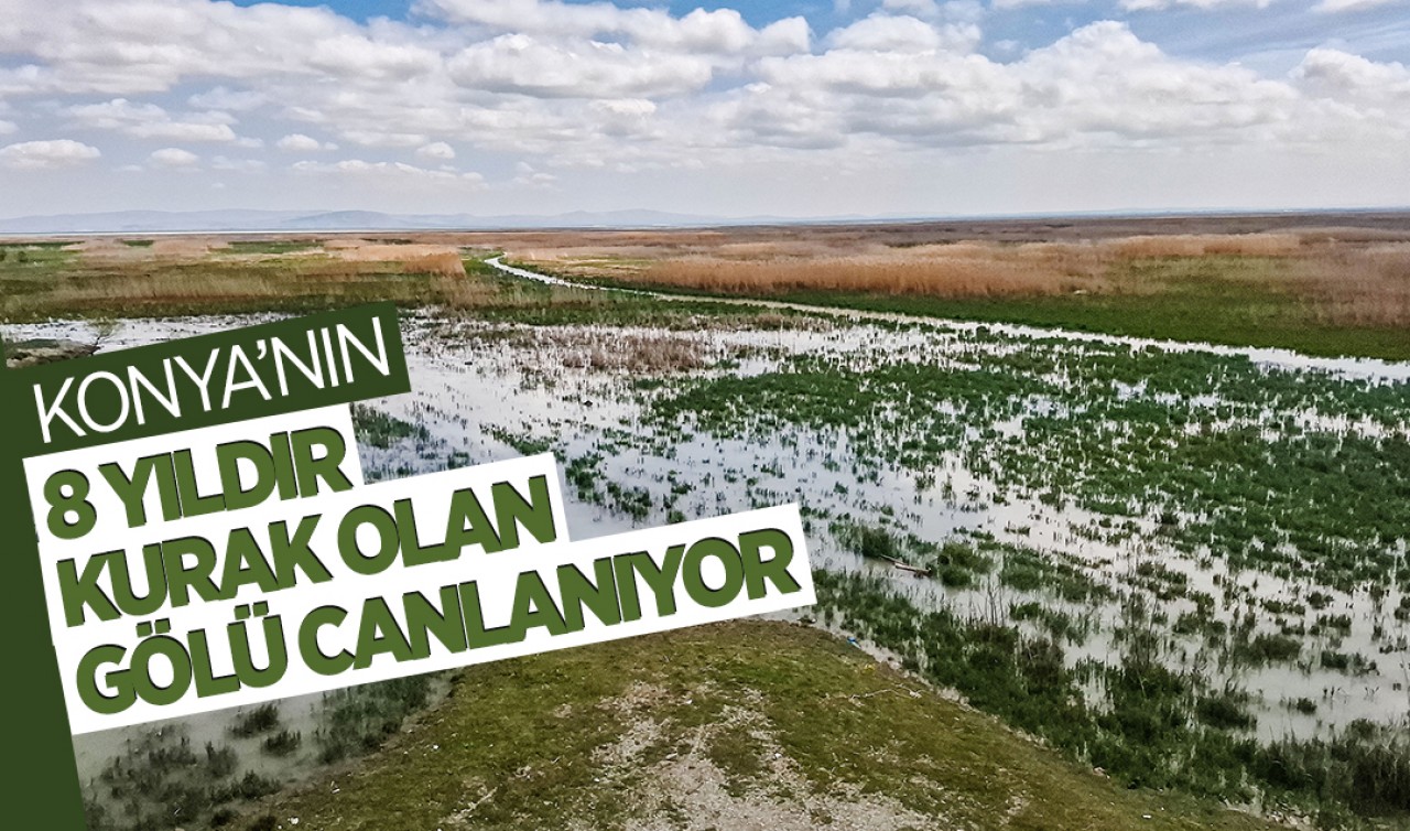 Konya'nın 8 yıldır kurak olan gölü canlanıyor
