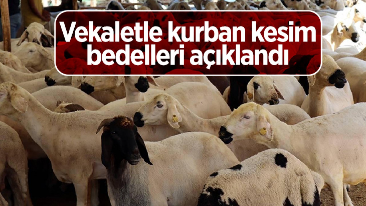 Vekaletle kurban kesim bedelleri açıklandı