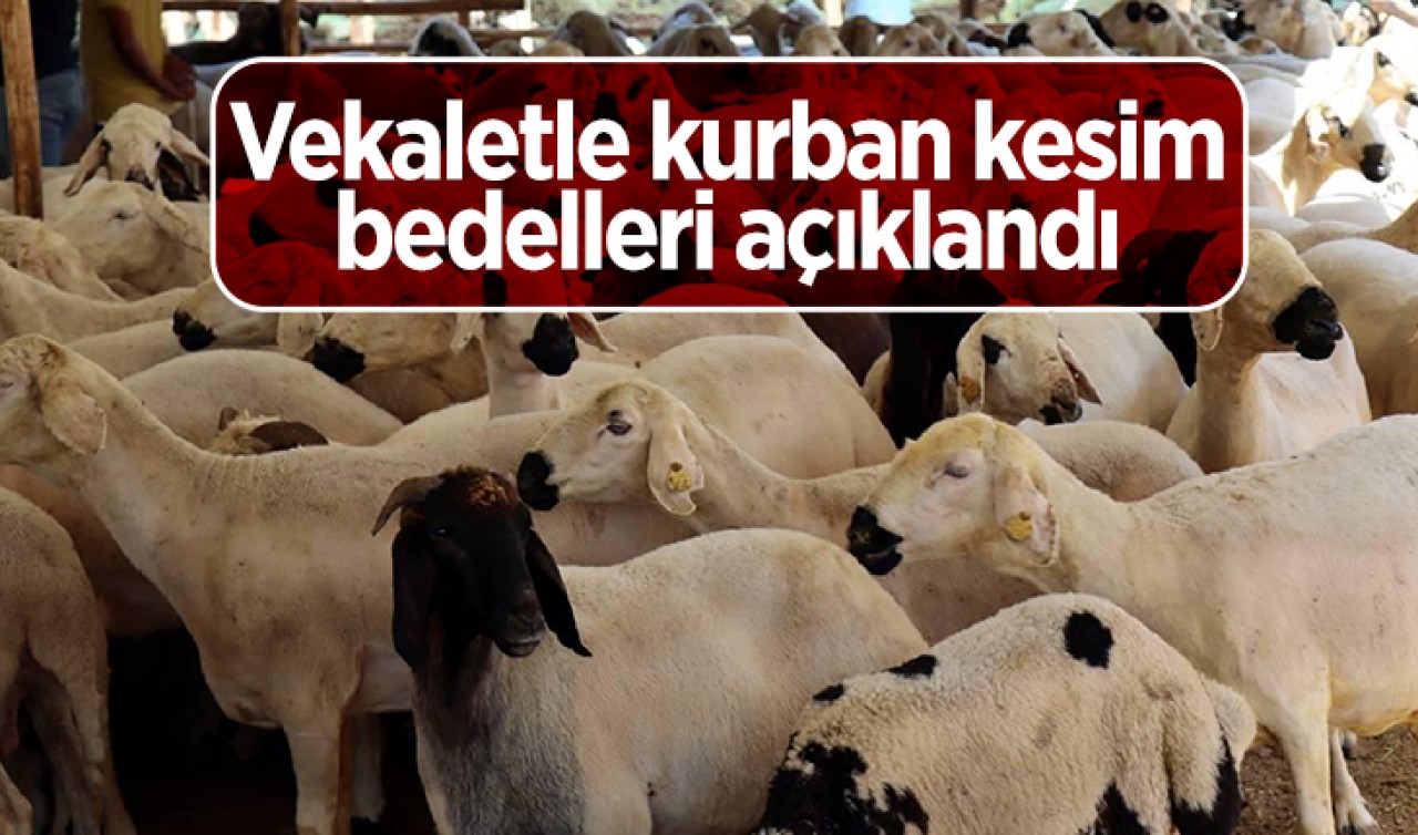 Vekaletle kurban kesim bedelleri açıklandı