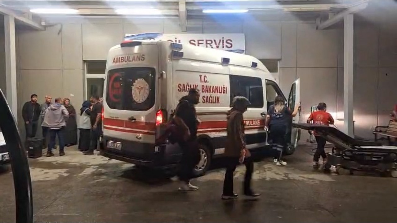 Arazi anlaşmazlığı nedeniyle iki üvey kardeşini öldürdü
