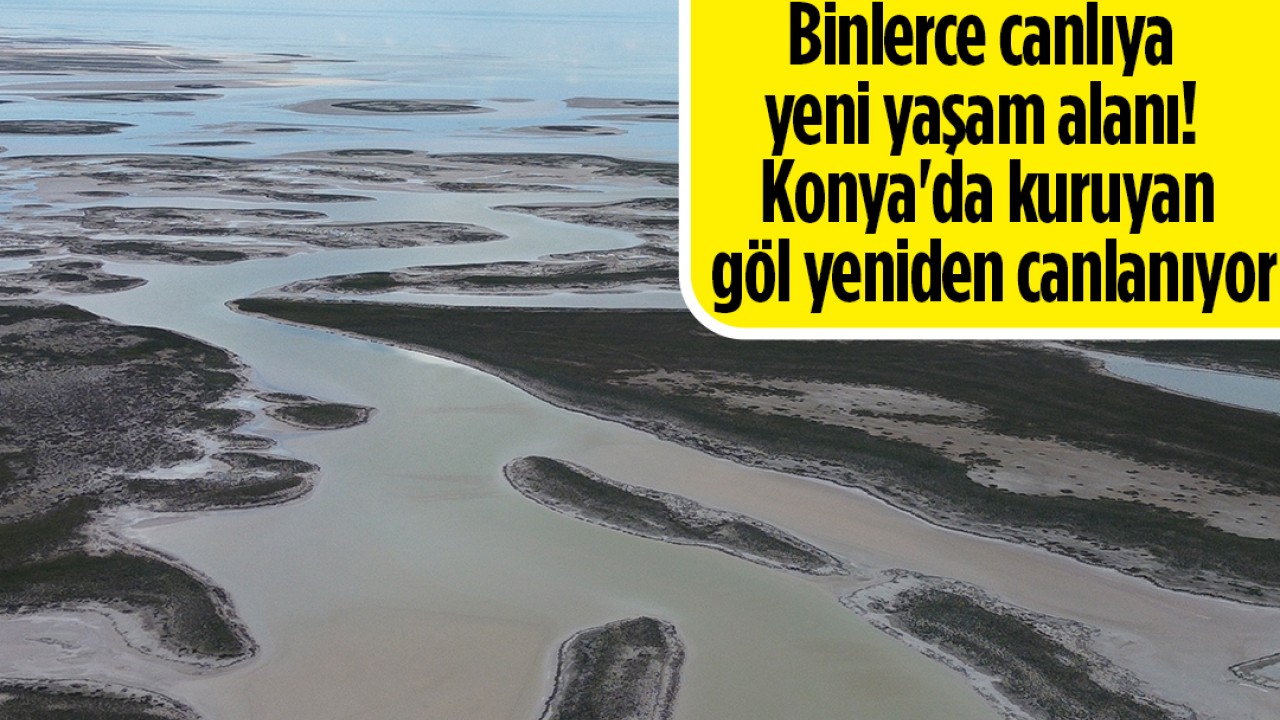 Binlerce canlıya yeni yaşam alanı! Konya'da kuruyan göl yeniden canlanıyor