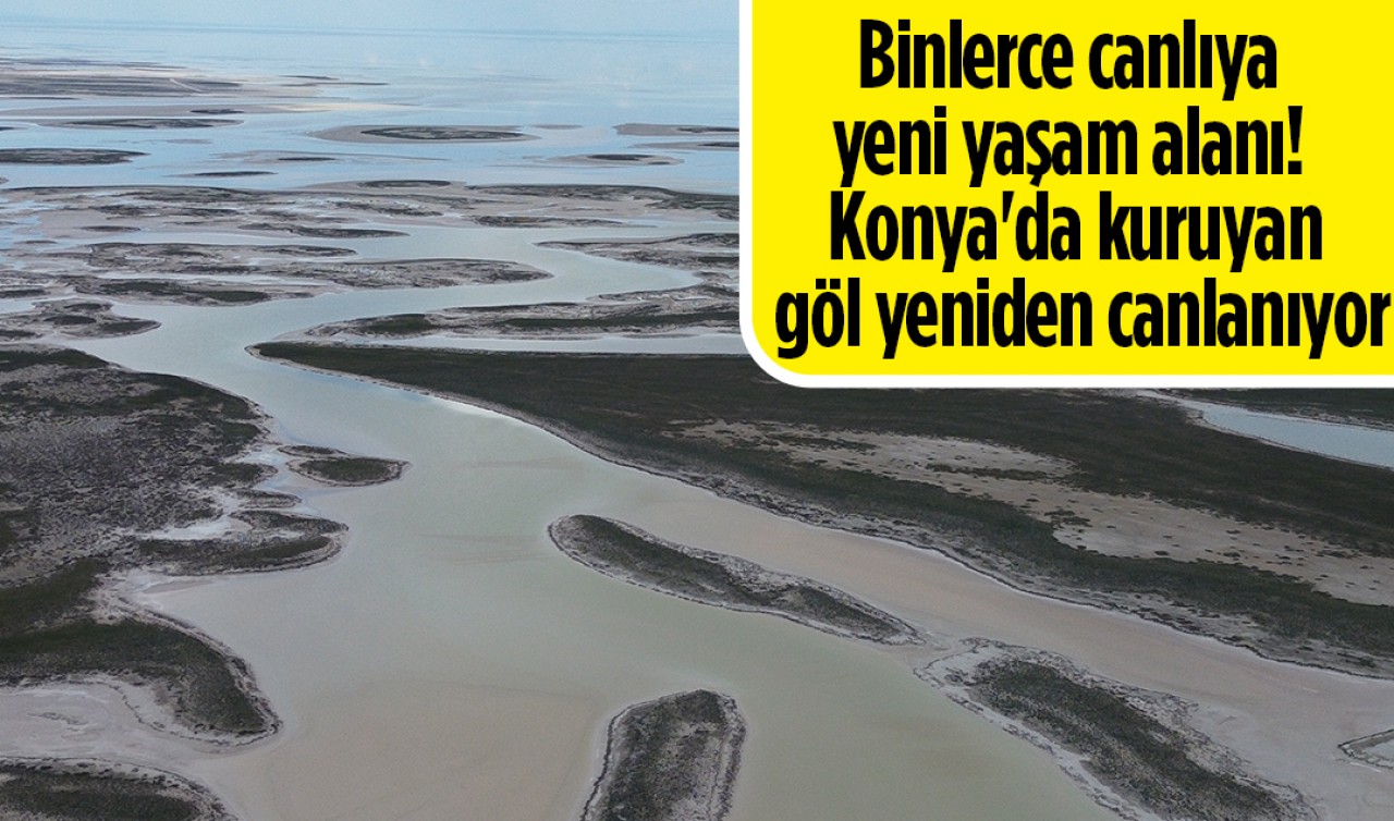 Binlerce canlıya yeni yaşam alanı! Konya'da kuruyan göl yeniden canlanıyor