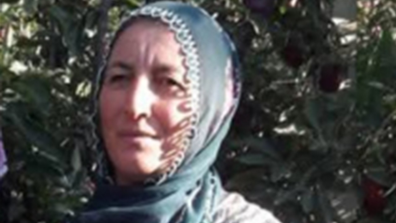 İş yerinde kesilen ağaç, üzerine devrildi! 4 çocuk annesi öldü