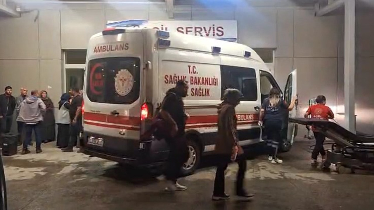 Arazi anlaşmazlığı nedeniyle iki üvey kardeşini öldürdü