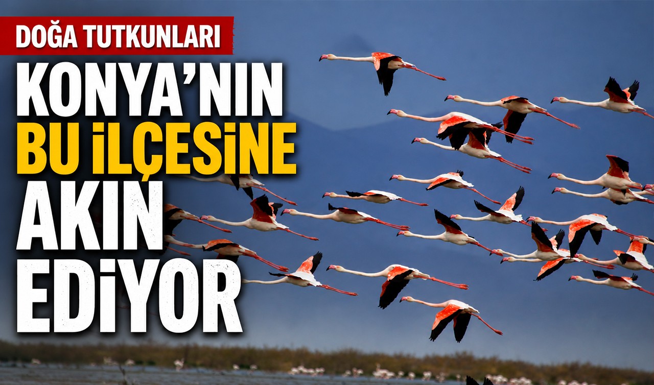 Doğa tutkunları Konya'nın bu ilçesine akın ediyor